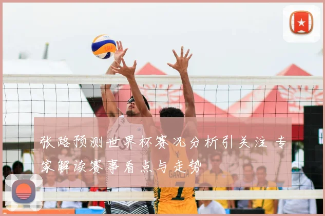 张路预测世界杯赛况分析引关注 专家解读赛事看点与走势