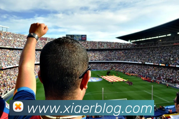 世界杯官网平台品牌故事