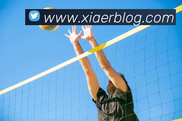 世界杯官网平台服务体系